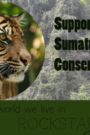 Supporting Sumatran Tigers with Flora and Fauna
