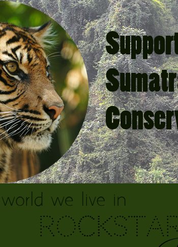 Supporting Sumatran Tigers with Flora and Fauna