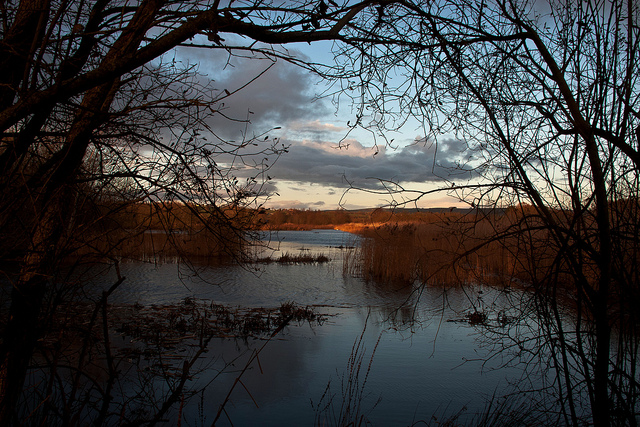 The Somerset Levels (photo by Mark Robinson on Flickr)