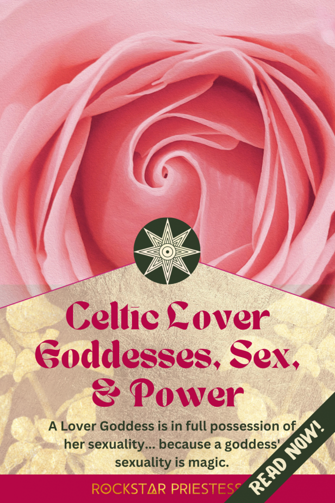 Close up of a Pink rose overlaid with title: "Celtic Lover Goddesses, Sex, and Power" and extract from the article below.