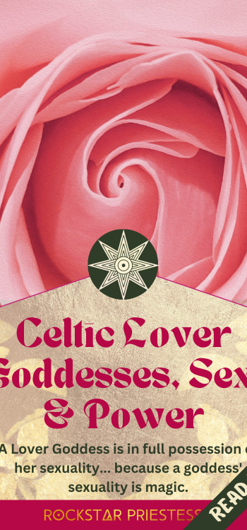 Pink rose with title overlaid: "Celtic lover Goddesses, sex, and power"